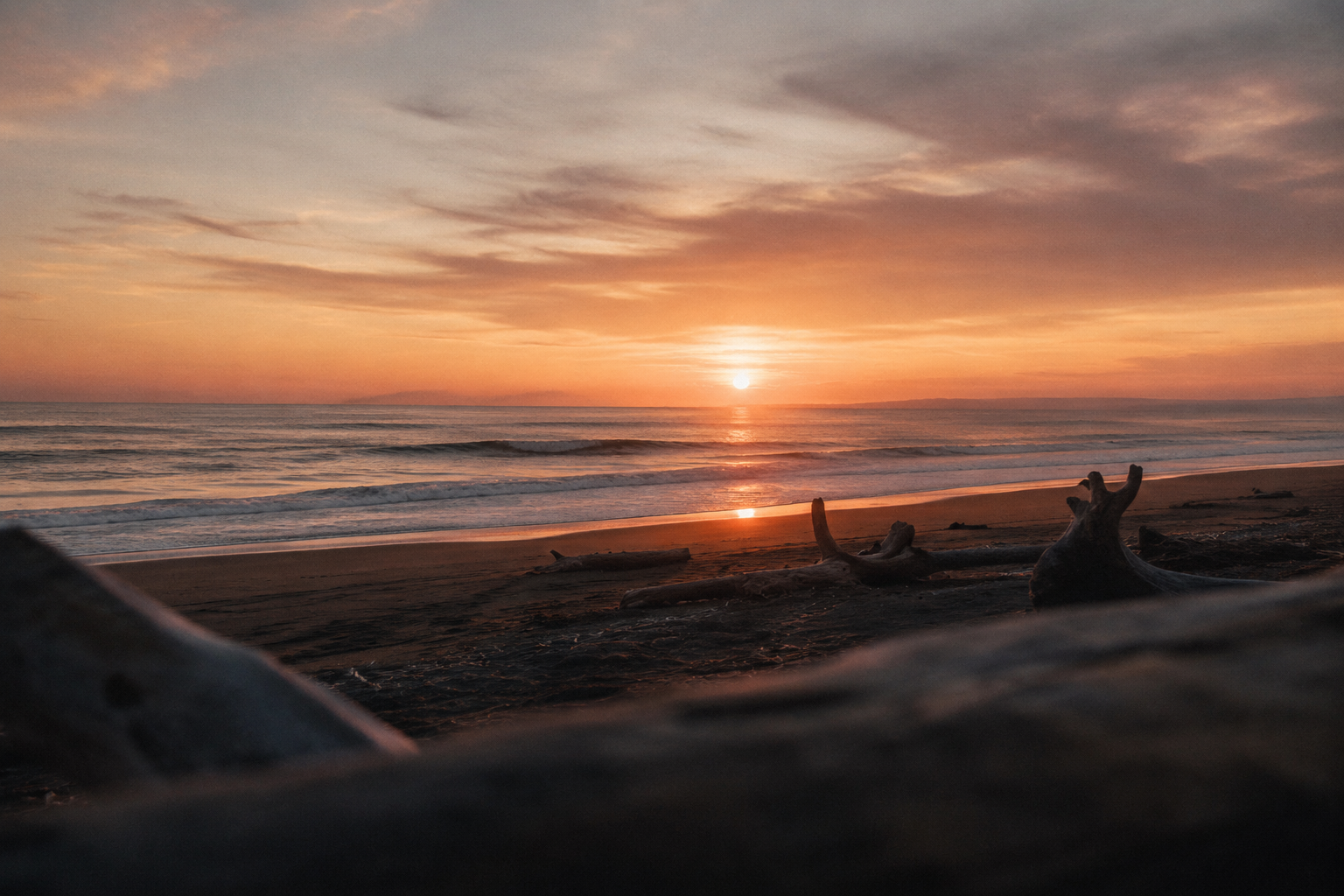 Sunset on a driftwood coast